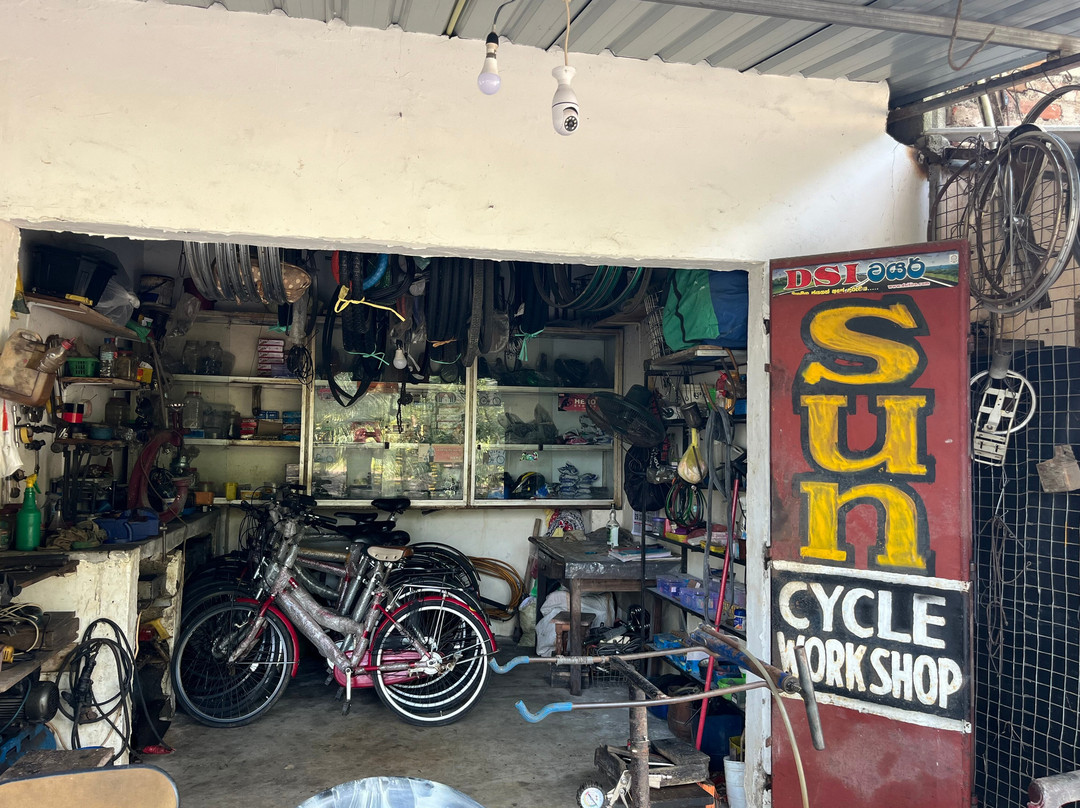sun cycles work shop and hire-阿努拉德普勒圣城必去景点
