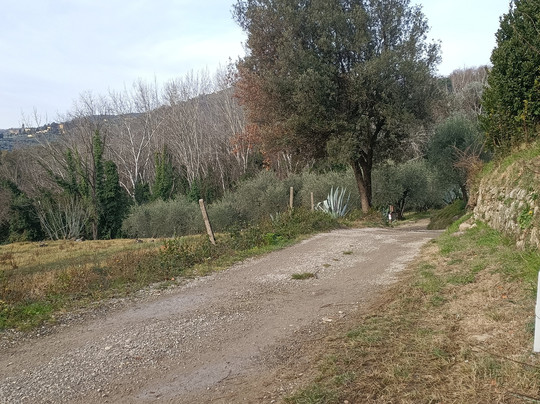 Via della Fiaba Pescia - Collodi