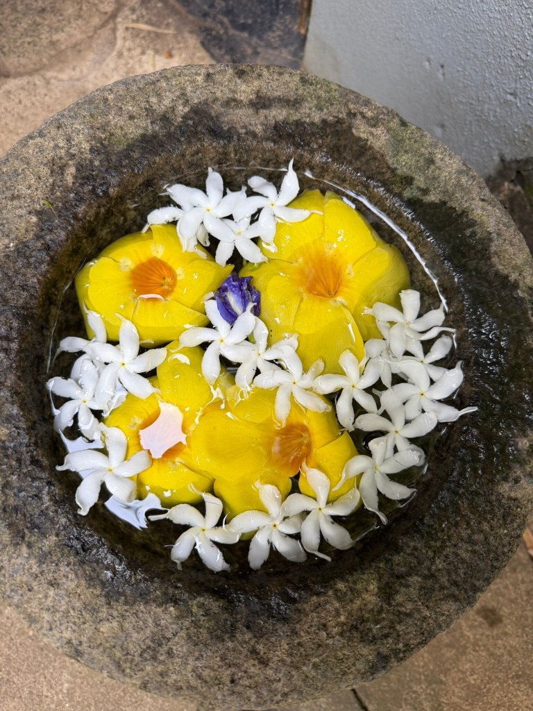 塔拉拉度假酒店-官方