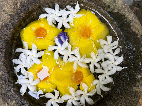 塔拉拉度假酒店主图