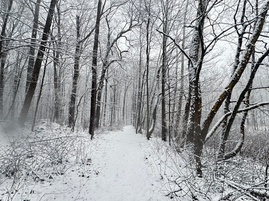South Mountain Fairy Trail-Millburn必去景点