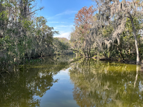 Premier Boat Tours-Mount Dora必去景点