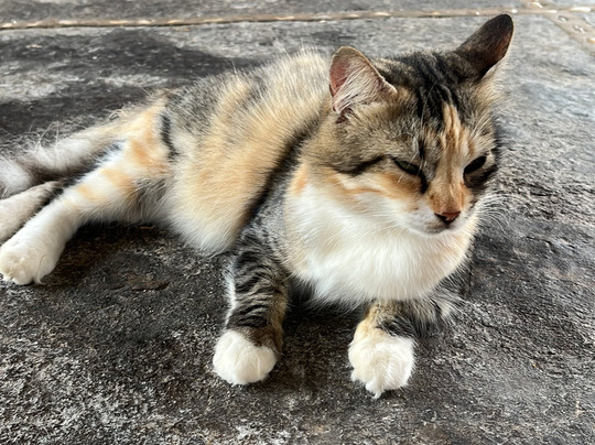 Pousada Theodora主图