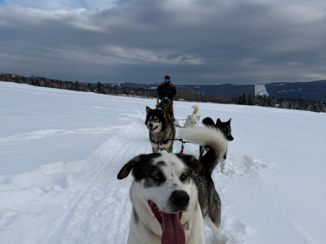 La Reine et le Millionnaire-Baie-St-Paul必去景点