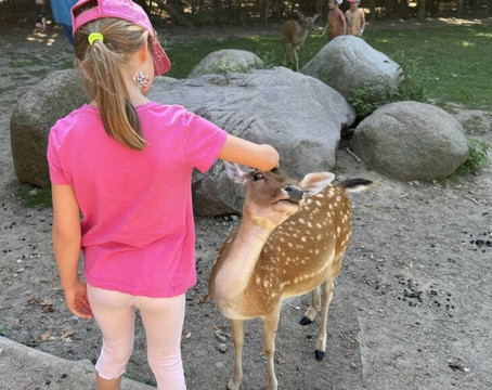 Tierpark Wismar-维斯马必去景点