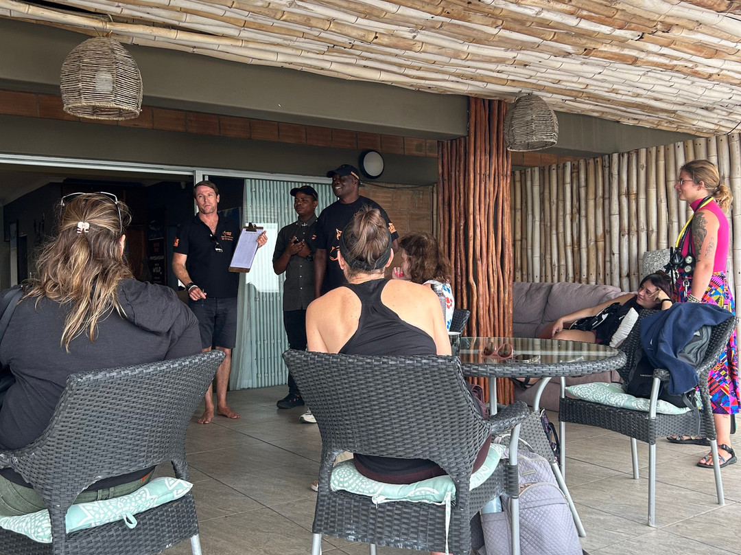 SAFARI, DRIVE & DIVE TOURS-Inhambane必去景点