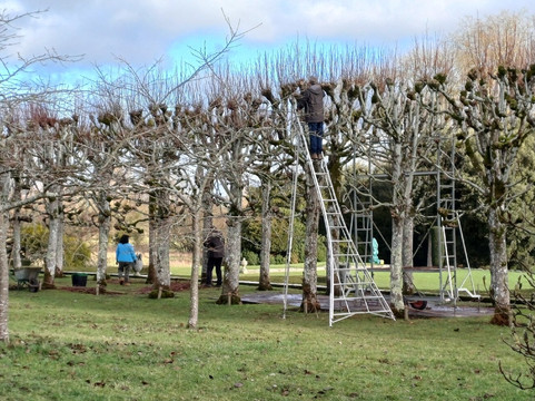 Mottisfont Abbey-Mottisfont必去景点