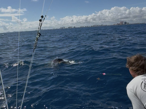 Taco's Hooked Up Sportfishing-劳德代尔堡必去景点