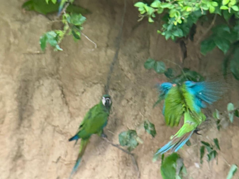 Valencia Travel Cusco-库斯科必去景点