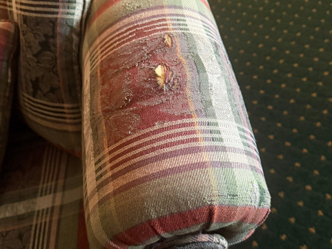 公园广场山林小屋主图