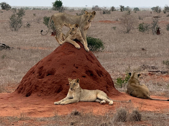Nero Guida Turistica-瓦塔木必去景点