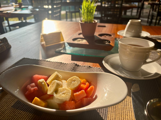 杰特威阿育吠陀酒店主图