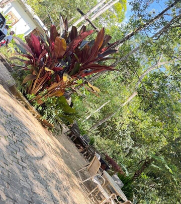 Tranquilisle Villa主图