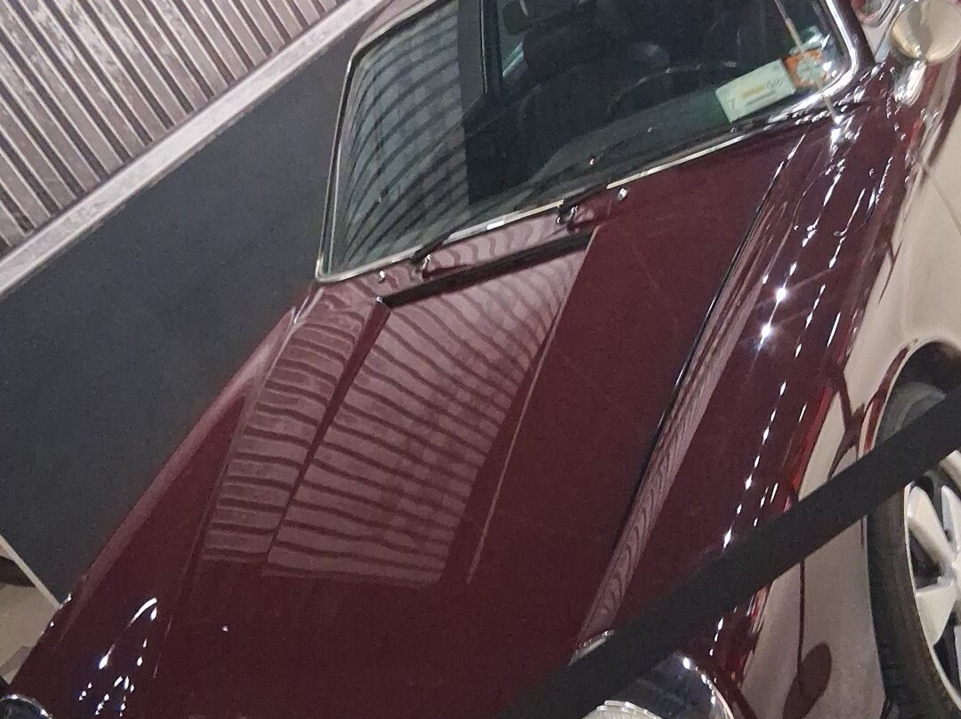 The American Automobile Experience-卡尼必去景点