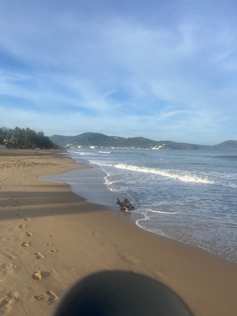 Torreblanca Beach Hotel and Suites Guayabitos-官方
