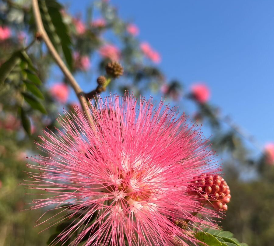 Kshemavana-Bangalore District必去景点