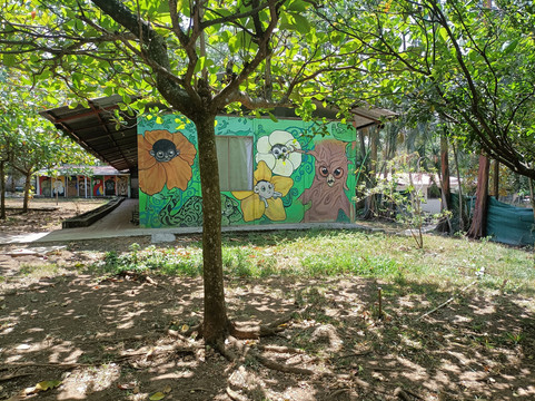 Costa Rica Animal Rescue Center-Turrucares必去景点