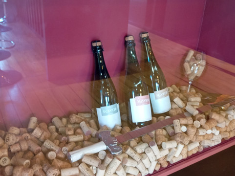 Loja - Dunamis Vinhos & Vinhedos-格拉玛多必去景点