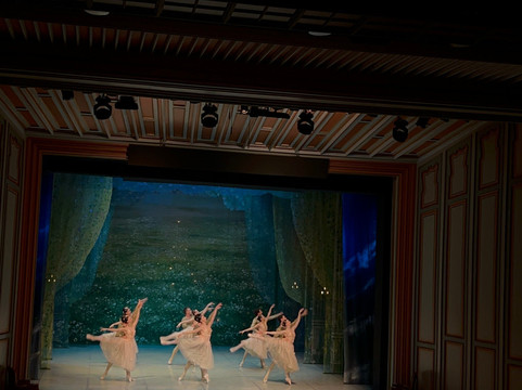 State Opera and Ballet-安卡拉必去景点