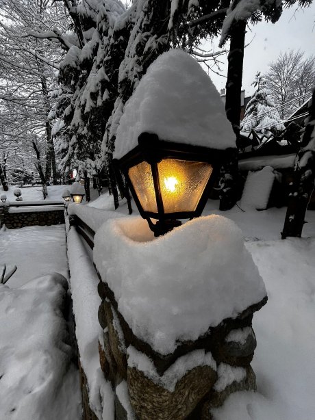 Brezovica Hotel & Spa-官方