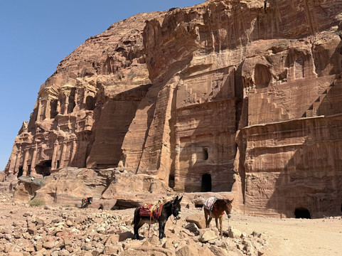 Atlas Tours-安曼必去景点