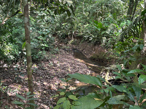 Parque Nacional Soberania-巴拿马城必去景点