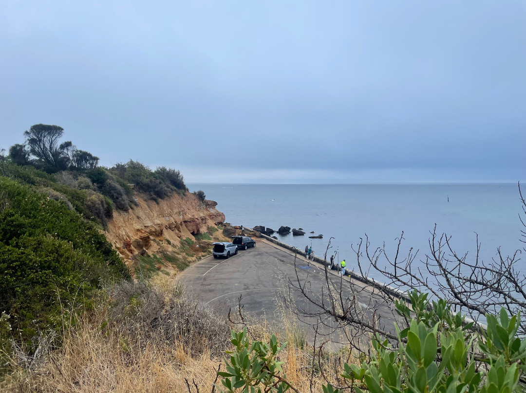 Linley Point-莫宁顿必去景点