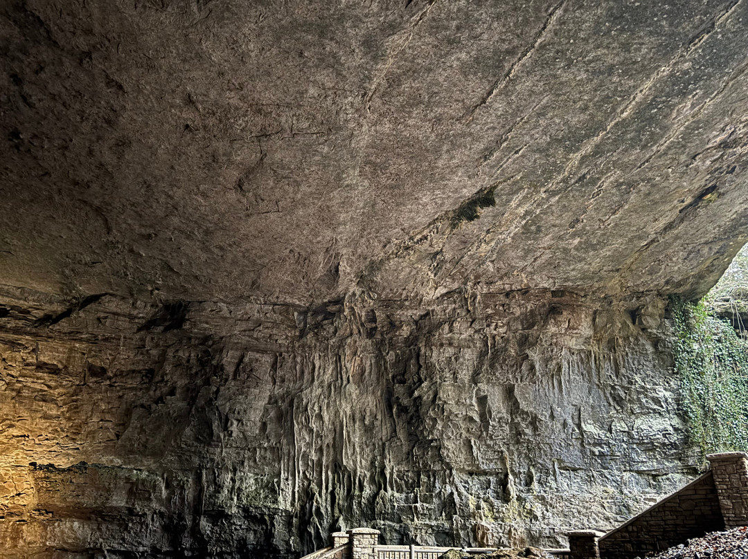 Cathedral Caverns State Park-Woodville必去景点