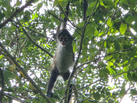 DANTA TOURS-Xpujil Town必去景点