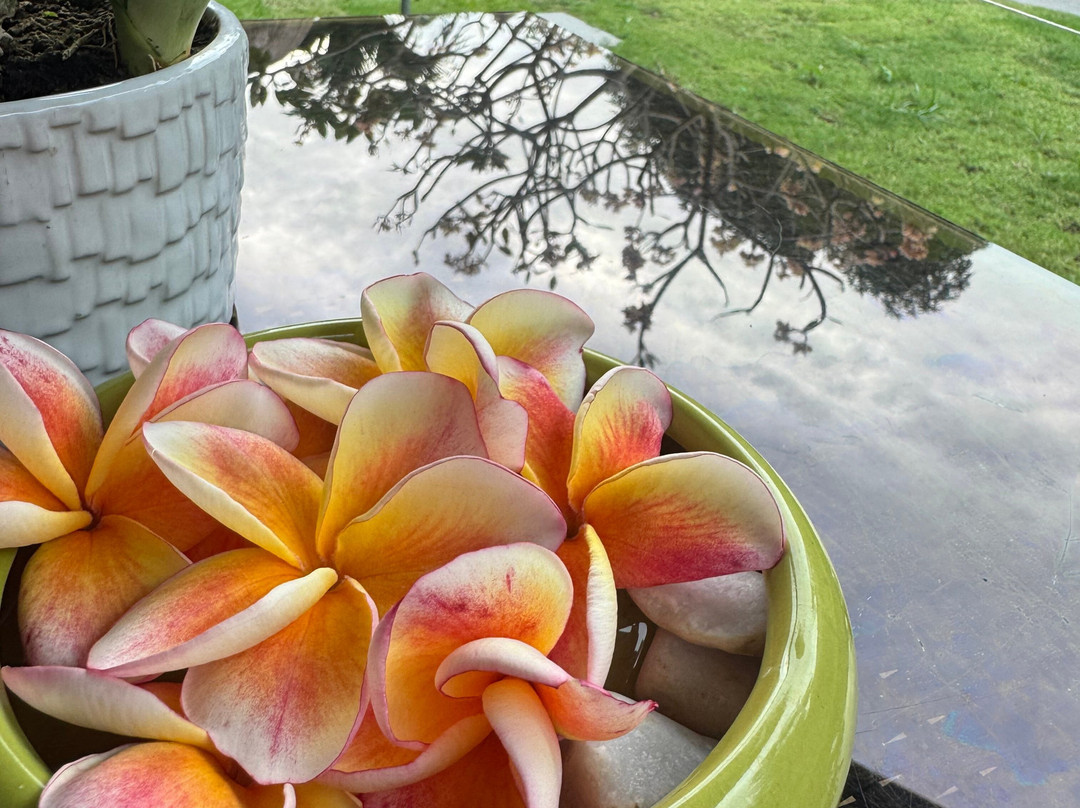 Hazel’s Massage and Nail Spa-岛印必去景点