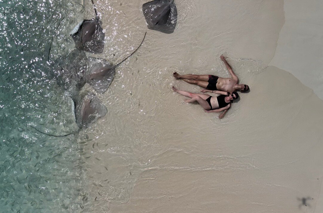 Bubbles Excursion-康杜玛岛必去景点