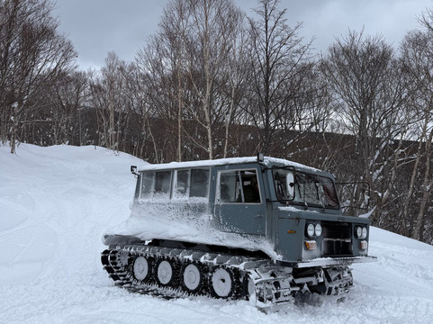 Type Two Three-兰越町必去景点