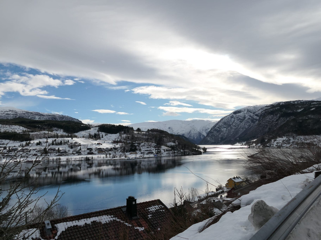 Wollert'n AS-Ulvik必去景点