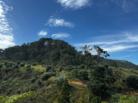 Cheeky Kiwi Travel-奥克兰中心地区必去景点