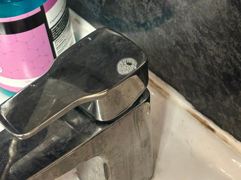 Whitmuir Farm-Lamancha必去景点