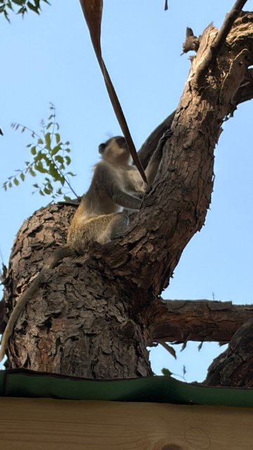 恩加拉小屋-官方