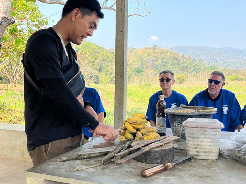 CHIANGMAI ELEPHANT CARE (Mae Taeng)-清迈必去景点