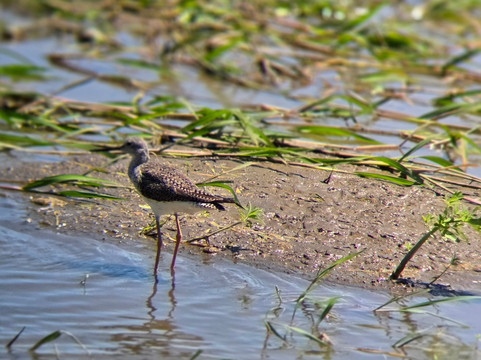 No Limit Adventures CR-利比里亚必去景点