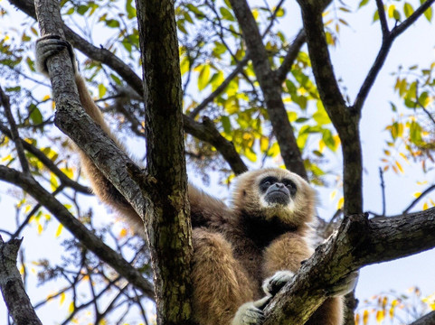 Khaoyai Jungle Tour and Photographer by Guide Jay-北冲县必去景点