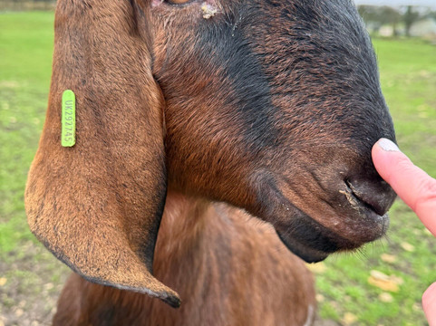 科茨沃尔德农场公园-Kineton必去景点