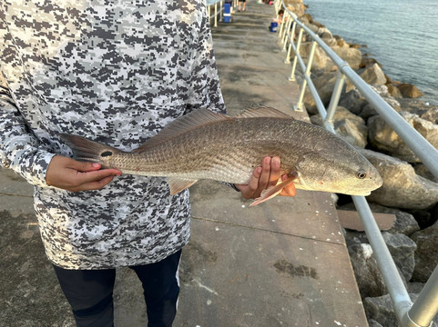 Lighthouse Point Park-Ponce Inlet必去景点