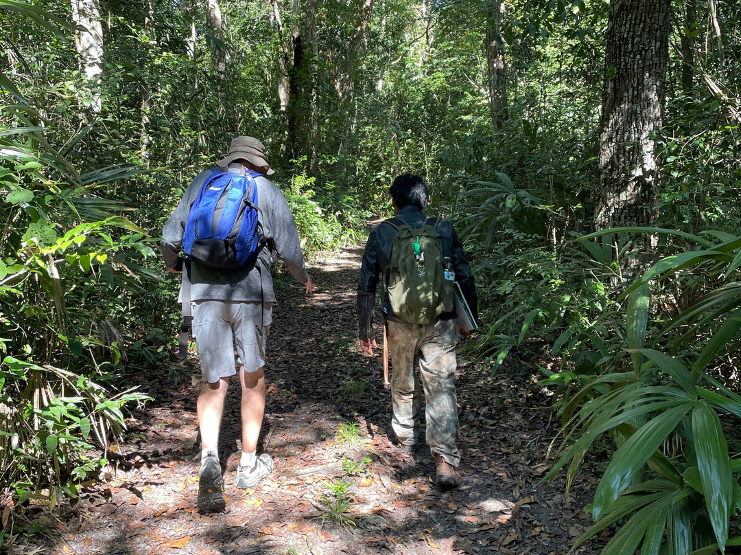 Calakmul Tours By Ezequiel-Xpujil Town必去景点