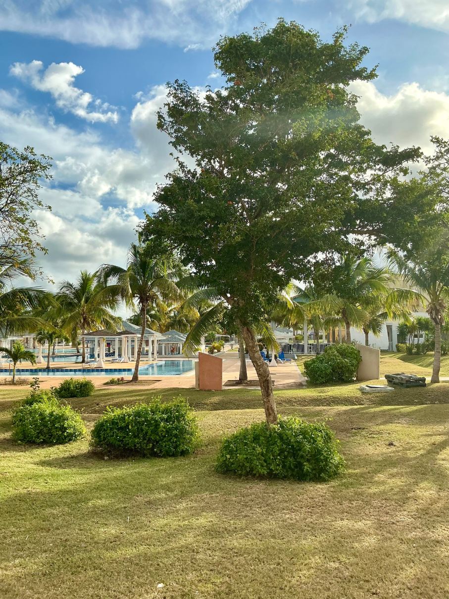 Melia Jardines del Rey-官方
