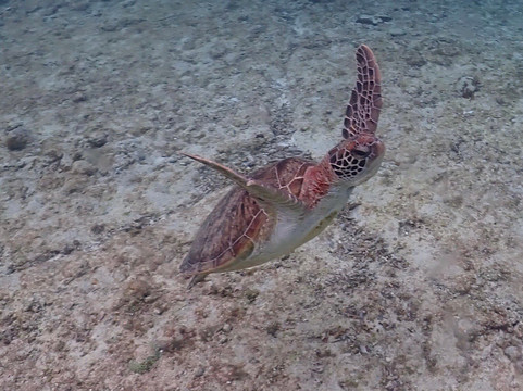 Shigira Beach-宫古岛市必去景点