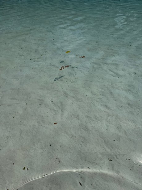 奈通布里海滩度假村-官方