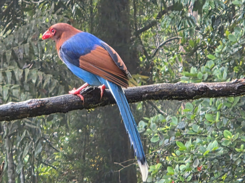 Best of Lanka-科伦坡必去景点