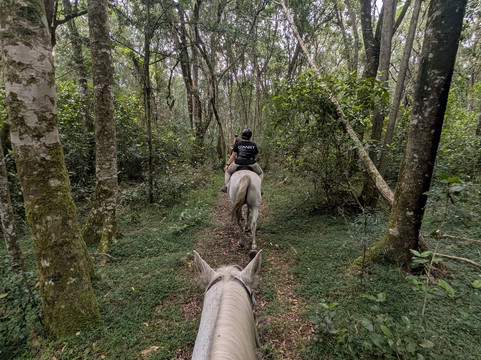 Perdepoort Horse Tails-荒野必去景点