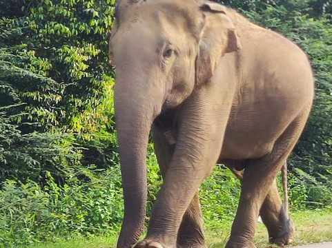 周游世界旅游酒店主图