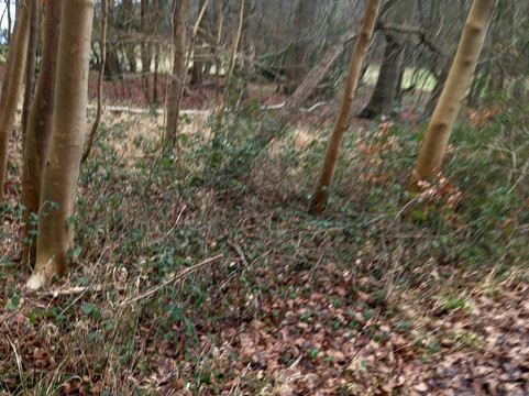 Saint Mary-Le-More-沃灵福德必去景点