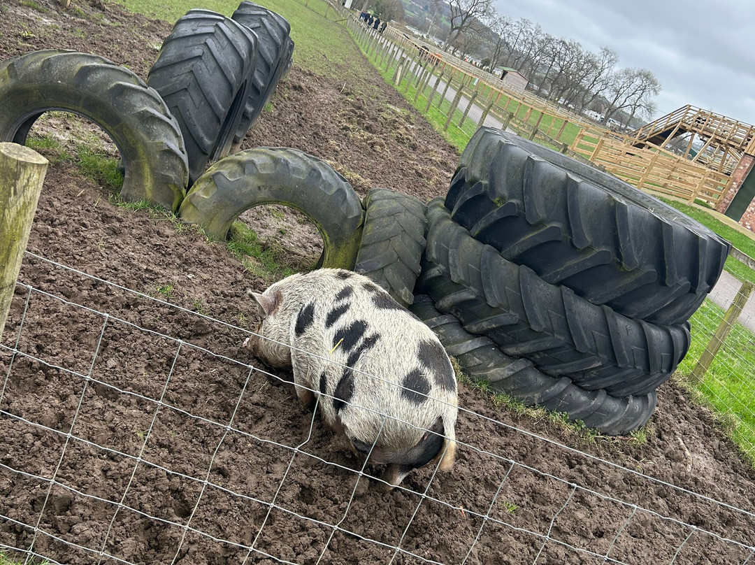 Monk Park Farm-Bagby必去景点